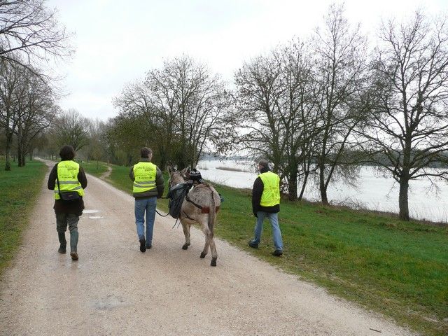 Loire propre 2014 (15).jpg